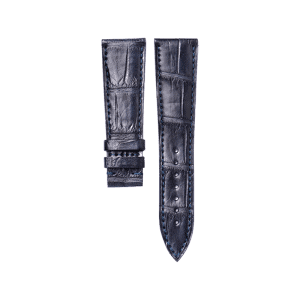 Alligator classic
