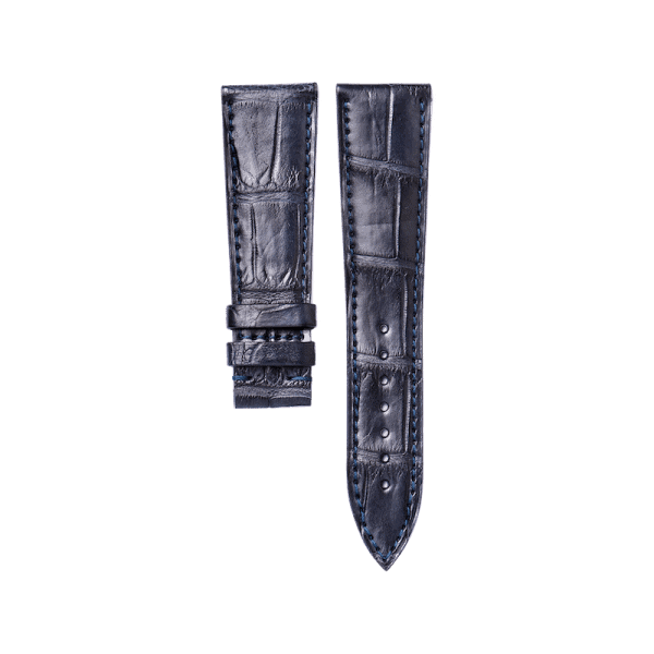 Alligator classic