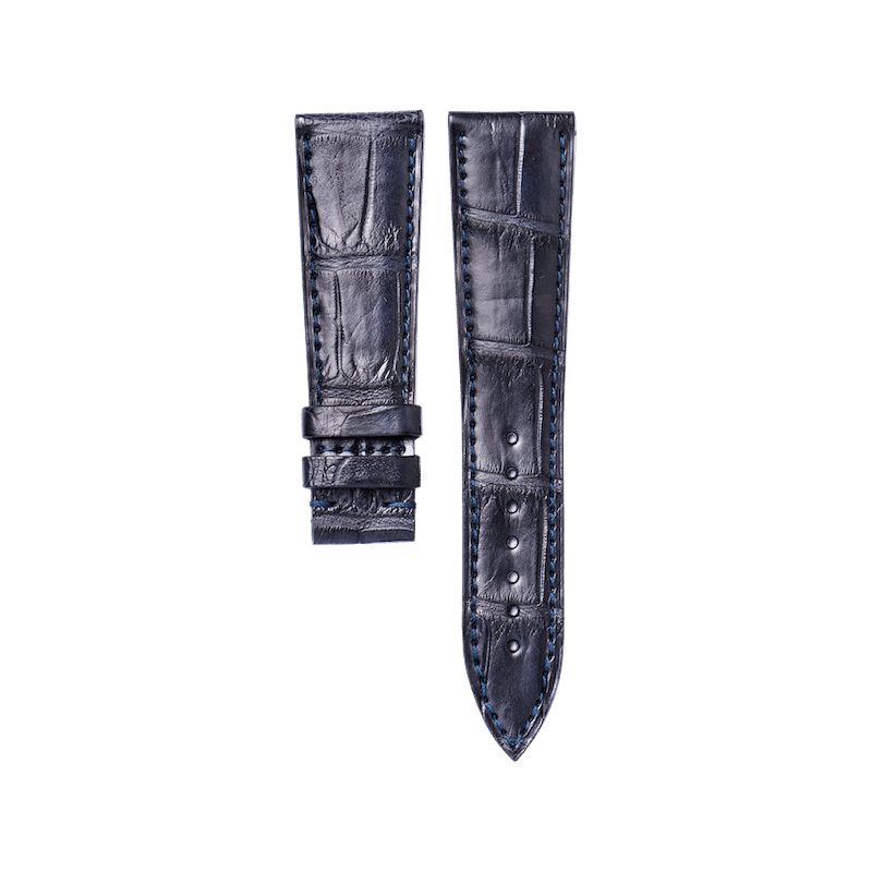 Alligator classic
