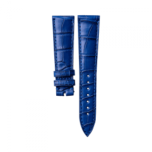 Alligator classic