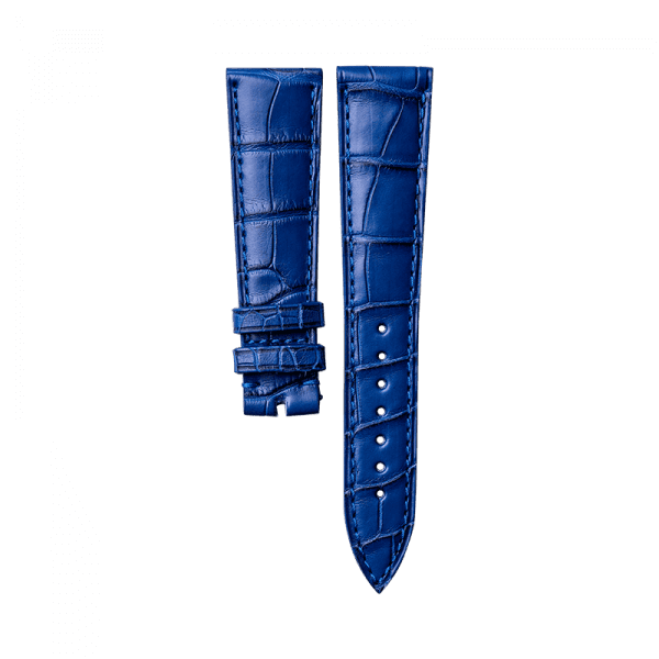 Alligator classic