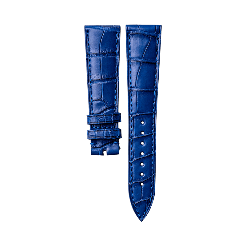 Alligator classic