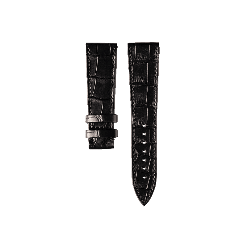 Alligator Thick